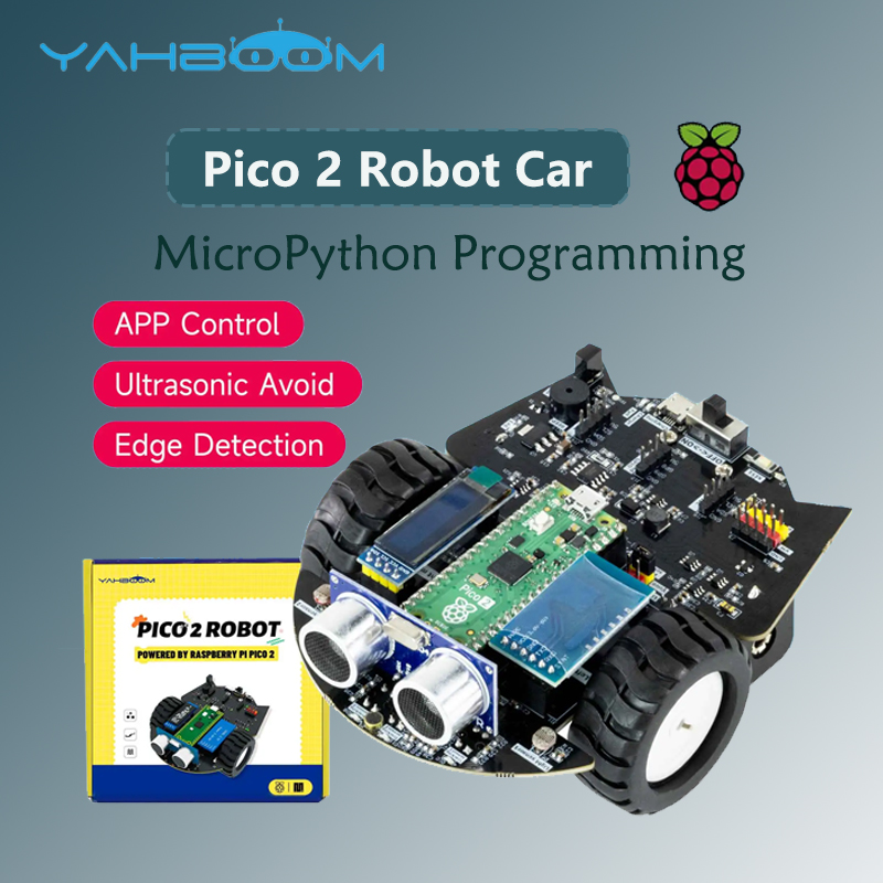 Yahboom Raspberry Pi Pico 2 Ro - Diy In Electronics reseña y precio