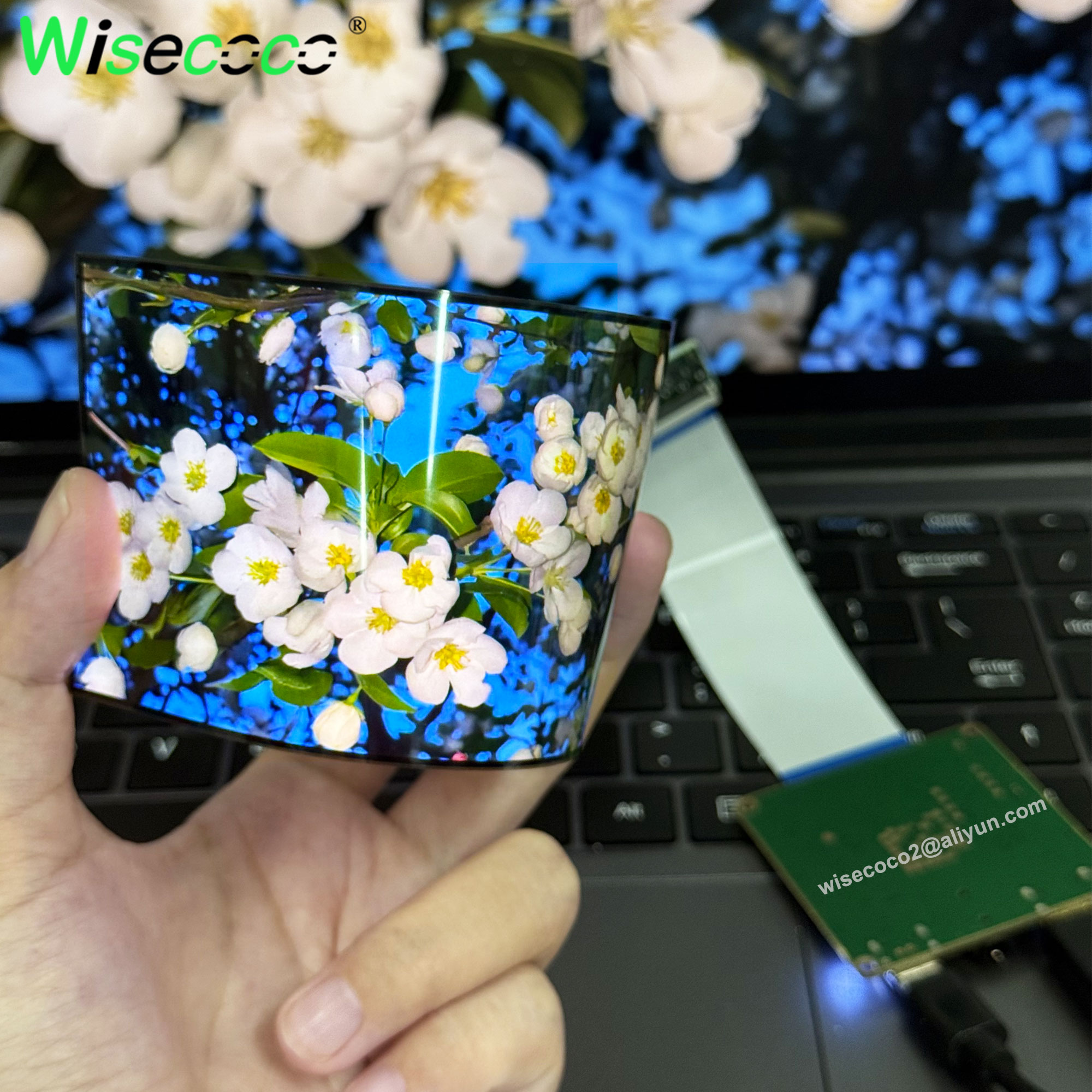 Wisecoco 5 Inch AMOLED Flexibl - Diy Wearable Electronics reseña y precio